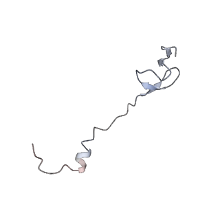 21626_6wd7_B_v1-3
Cryo-EM of elongating ribosome with EF-Tu*GTP elucidates tRNA proofreading (Cognate Structure II-D)