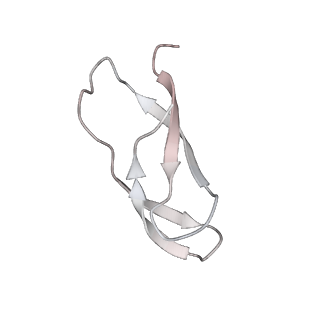 21626_6wd7_C_v1-3
Cryo-EM of elongating ribosome with EF-Tu*GTP elucidates tRNA proofreading (Cognate Structure II-D)