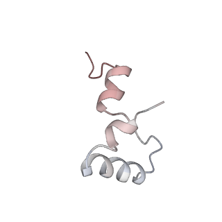 21626_6wd7_D_v1-2
Cryo-EM of elongating ribosome with EF-Tu*GTP elucidates tRNA proofreading (Cognate Structure II-D)