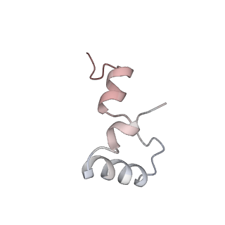 21626_6wd7_D_v1-3
Cryo-EM of elongating ribosome with EF-Tu*GTP elucidates tRNA proofreading (Cognate Structure II-D)