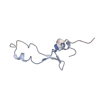 21626_6wd7_E_v1-2
Cryo-EM of elongating ribosome with EF-Tu*GTP elucidates tRNA proofreading (Cognate Structure II-D)