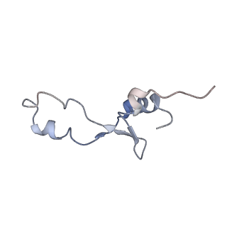 21626_6wd7_E_v1-3
Cryo-EM of elongating ribosome with EF-Tu*GTP elucidates tRNA proofreading (Cognate Structure II-D)