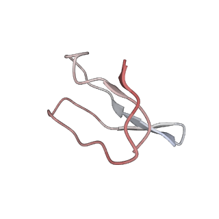 21626_6wd7_F_v1-3
Cryo-EM of elongating ribosome with EF-Tu*GTP elucidates tRNA proofreading (Cognate Structure II-D)