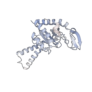 21626_6wd7_G_v1-2
Cryo-EM of elongating ribosome with EF-Tu*GTP elucidates tRNA proofreading (Cognate Structure II-D)