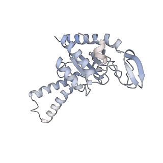 21626_6wd7_G_v1-3
Cryo-EM of elongating ribosome with EF-Tu*GTP elucidates tRNA proofreading (Cognate Structure II-D)