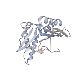 21626_6wd7_H_v1-2
Cryo-EM of elongating ribosome with EF-Tu*GTP elucidates tRNA proofreading (Cognate Structure II-D)