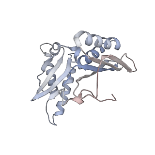 21626_6wd7_H_v1-3
Cryo-EM of elongating ribosome with EF-Tu*GTP elucidates tRNA proofreading (Cognate Structure II-D)