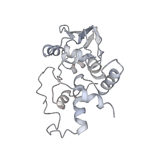 21626_6wd7_I_v1-2
Cryo-EM of elongating ribosome with EF-Tu*GTP elucidates tRNA proofreading (Cognate Structure II-D)
