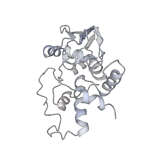 21626_6wd7_I_v1-3
Cryo-EM of elongating ribosome with EF-Tu*GTP elucidates tRNA proofreading (Cognate Structure II-D)