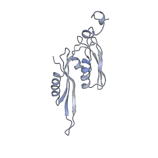 21626_6wd7_J_v1-2
Cryo-EM of elongating ribosome with EF-Tu*GTP elucidates tRNA proofreading (Cognate Structure II-D)