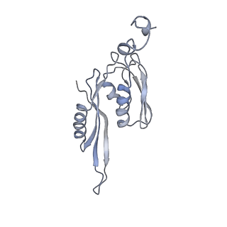 21626_6wd7_J_v1-3
Cryo-EM of elongating ribosome with EF-Tu*GTP elucidates tRNA proofreading (Cognate Structure II-D)