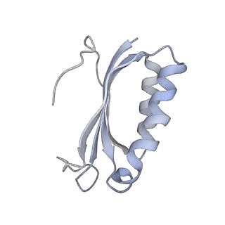 21626_6wd7_K_v1-2
Cryo-EM of elongating ribosome with EF-Tu*GTP elucidates tRNA proofreading (Cognate Structure II-D)
