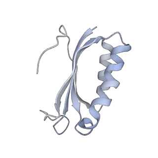 21626_6wd7_K_v1-3
Cryo-EM of elongating ribosome with EF-Tu*GTP elucidates tRNA proofreading (Cognate Structure II-D)