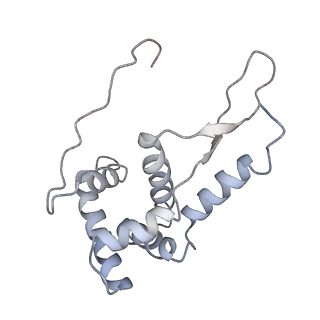 21626_6wd7_L_v1-2
Cryo-EM of elongating ribosome with EF-Tu*GTP elucidates tRNA proofreading (Cognate Structure II-D)