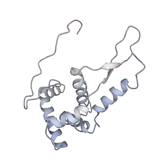 21626_6wd7_L_v1-3
Cryo-EM of elongating ribosome with EF-Tu*GTP elucidates tRNA proofreading (Cognate Structure II-D)