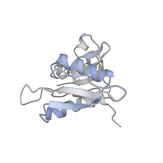 21626_6wd7_M_v1-2
Cryo-EM of elongating ribosome with EF-Tu*GTP elucidates tRNA proofreading (Cognate Structure II-D)