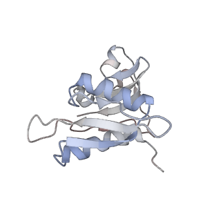 21626_6wd7_M_v1-3
Cryo-EM of elongating ribosome with EF-Tu*GTP elucidates tRNA proofreading (Cognate Structure II-D)