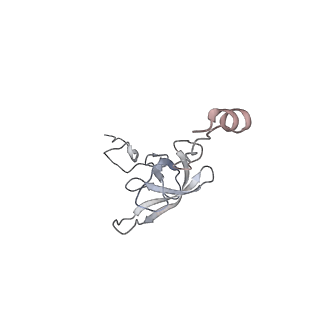 21626_6wd7_Q_v1-2
Cryo-EM of elongating ribosome with EF-Tu*GTP elucidates tRNA proofreading (Cognate Structure II-D)