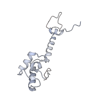 21626_6wd7_R_v1-2
Cryo-EM of elongating ribosome with EF-Tu*GTP elucidates tRNA proofreading (Cognate Structure II-D)