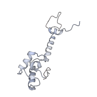 21626_6wd7_R_v1-3
Cryo-EM of elongating ribosome with EF-Tu*GTP elucidates tRNA proofreading (Cognate Structure II-D)