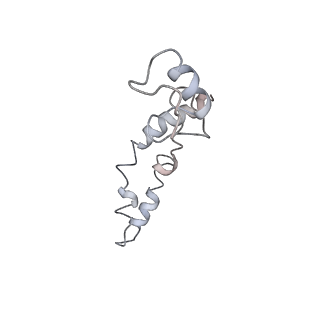 21626_6wd7_S_v1-2
Cryo-EM of elongating ribosome with EF-Tu*GTP elucidates tRNA proofreading (Cognate Structure II-D)
