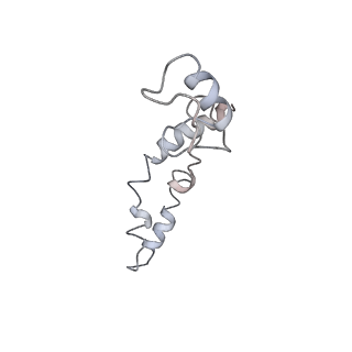 21626_6wd7_S_v1-3
Cryo-EM of elongating ribosome with EF-Tu*GTP elucidates tRNA proofreading (Cognate Structure II-D)