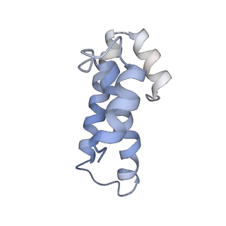 21626_6wd7_T_v1-3
Cryo-EM of elongating ribosome with EF-Tu*GTP elucidates tRNA proofreading (Cognate Structure II-D)