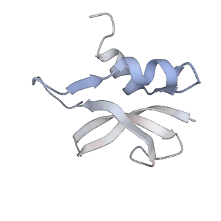 21626_6wd7_U_v1-2
Cryo-EM of elongating ribosome with EF-Tu*GTP elucidates tRNA proofreading (Cognate Structure II-D)