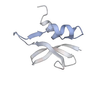 21626_6wd7_U_v1-3
Cryo-EM of elongating ribosome with EF-Tu*GTP elucidates tRNA proofreading (Cognate Structure II-D)