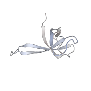 21626_6wd7_V_v1-2
Cryo-EM of elongating ribosome with EF-Tu*GTP elucidates tRNA proofreading (Cognate Structure II-D)