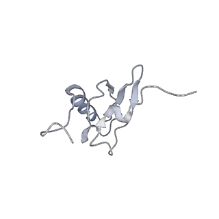 21626_6wd7_X_v1-2
Cryo-EM of elongating ribosome with EF-Tu*GTP elucidates tRNA proofreading (Cognate Structure II-D)