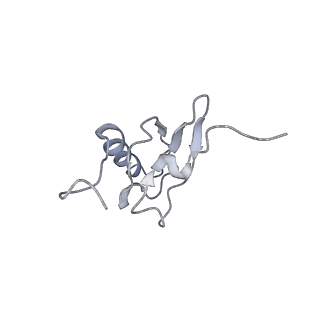 21626_6wd7_X_v1-3
Cryo-EM of elongating ribosome with EF-Tu*GTP elucidates tRNA proofreading (Cognate Structure II-D)