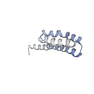 21626_6wd7_Y_v1-2
Cryo-EM of elongating ribosome with EF-Tu*GTP elucidates tRNA proofreading (Cognate Structure II-D)