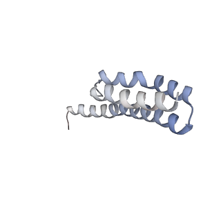 21626_6wd7_Y_v1-3
Cryo-EM of elongating ribosome with EF-Tu*GTP elucidates tRNA proofreading (Cognate Structure II-D)