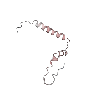 21626_6wd7_Z_v1-2
Cryo-EM of elongating ribosome with EF-Tu*GTP elucidates tRNA proofreading (Cognate Structure II-D)