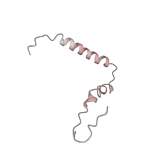 21626_6wd7_Z_v1-3
Cryo-EM of elongating ribosome with EF-Tu*GTP elucidates tRNA proofreading (Cognate Structure II-D)