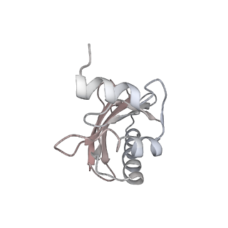 21626_6wd7_a_v1-2
Cryo-EM of elongating ribosome with EF-Tu*GTP elucidates tRNA proofreading (Cognate Structure II-D)