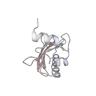 21626_6wd7_a_v1-3
Cryo-EM of elongating ribosome with EF-Tu*GTP elucidates tRNA proofreading (Cognate Structure II-D)