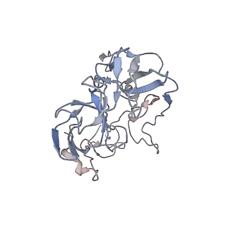 21626_6wd7_b_v1-2
Cryo-EM of elongating ribosome with EF-Tu*GTP elucidates tRNA proofreading (Cognate Structure II-D)