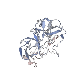 21626_6wd7_b_v1-3
Cryo-EM of elongating ribosome with EF-Tu*GTP elucidates tRNA proofreading (Cognate Structure II-D)