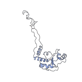 21626_6wd7_d_v1-2
Cryo-EM of elongating ribosome with EF-Tu*GTP elucidates tRNA proofreading (Cognate Structure II-D)