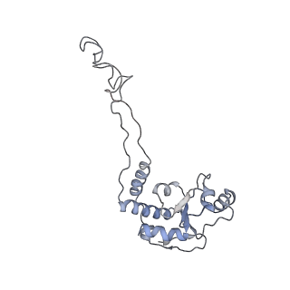 21626_6wd7_d_v1-3
Cryo-EM of elongating ribosome with EF-Tu*GTP elucidates tRNA proofreading (Cognate Structure II-D)