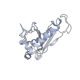 21626_6wd7_e_v1-2
Cryo-EM of elongating ribosome with EF-Tu*GTP elucidates tRNA proofreading (Cognate Structure II-D)