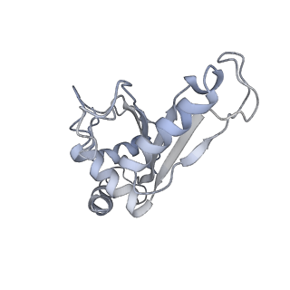 21626_6wd7_e_v1-3
Cryo-EM of elongating ribosome with EF-Tu*GTP elucidates tRNA proofreading (Cognate Structure II-D)