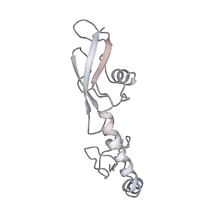 21626_6wd7_g_v1-2
Cryo-EM of elongating ribosome with EF-Tu*GTP elucidates tRNA proofreading (Cognate Structure II-D)