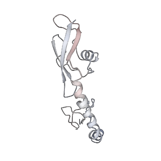 21626_6wd7_g_v1-3
Cryo-EM of elongating ribosome with EF-Tu*GTP elucidates tRNA proofreading (Cognate Structure II-D)