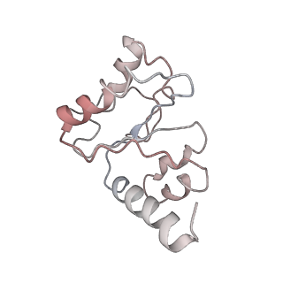 21626_6wd7_h_v1-2
Cryo-EM of elongating ribosome with EF-Tu*GTP elucidates tRNA proofreading (Cognate Structure II-D)
