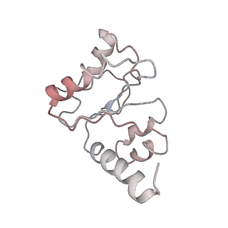 21626_6wd7_h_v1-3
Cryo-EM of elongating ribosome with EF-Tu*GTP elucidates tRNA proofreading (Cognate Structure II-D)