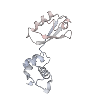 21626_6wd7_i_v1-2
Cryo-EM of elongating ribosome with EF-Tu*GTP elucidates tRNA proofreading (Cognate Structure II-D)