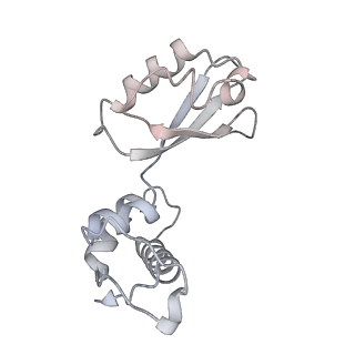 21626_6wd7_i_v1-3
Cryo-EM of elongating ribosome with EF-Tu*GTP elucidates tRNA proofreading (Cognate Structure II-D)